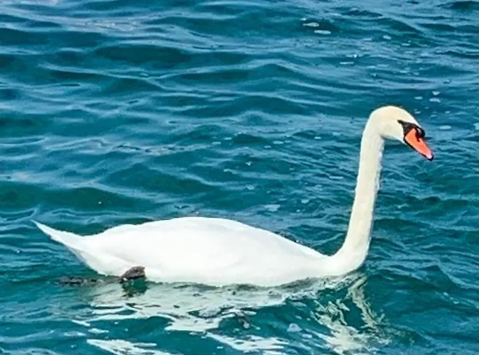 La Romely ゲストハウス 3*