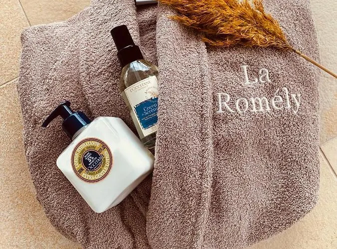 ゲストハウス La Romely