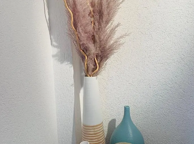 ゲストハウス La Romely Arzier